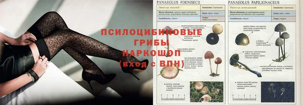 мдпв Медногорск