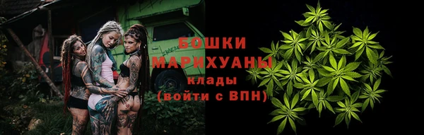 стаф Мегион