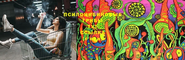 ПСИЛОЦИБИНОВЫЕ ГРИБЫ Шадринск
