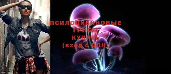 прущая мука Михайлов