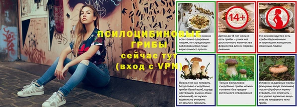 гашик Михайловск