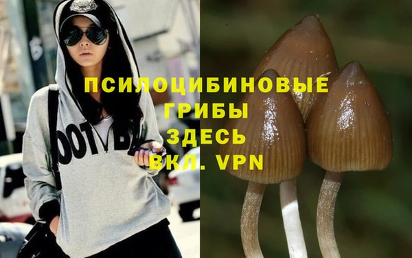 стаф Мегион