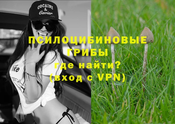 гашик Михайловск