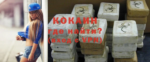 гашик Михайловск