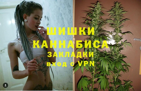 стаф Мегион