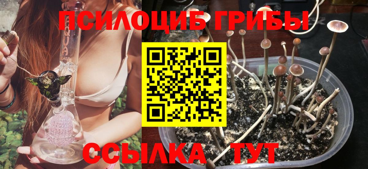 Ялта  Галлюциногенные грибы Magic Shrooms  продажа наркотиков  Вход с VPN 